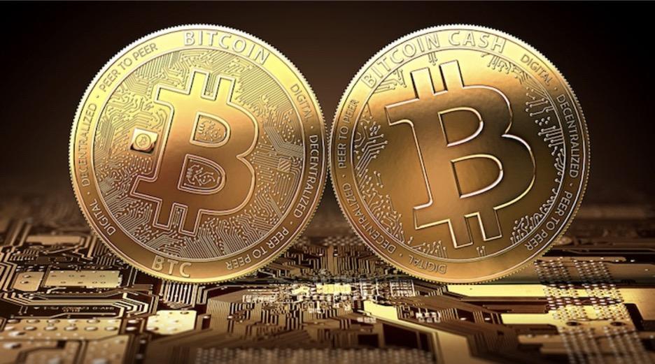 比特币分叉基金(比特币分叉基金怎么买)