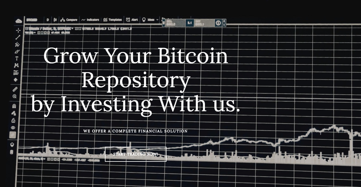 泉州比特币案(泉州比特币案件最新)