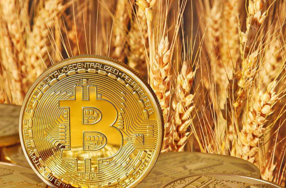 陈晓比特币(比特币 高晓松)