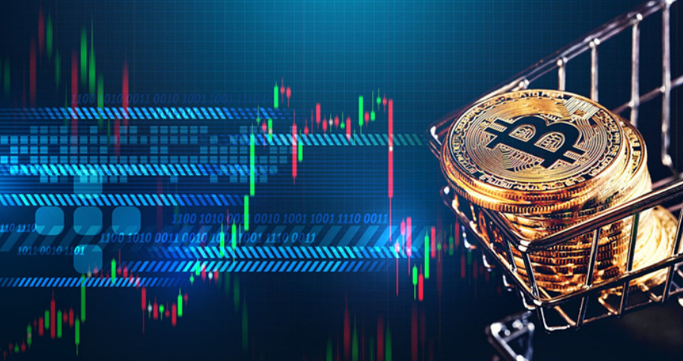 太极比特币图片(太极比特币图片大全)