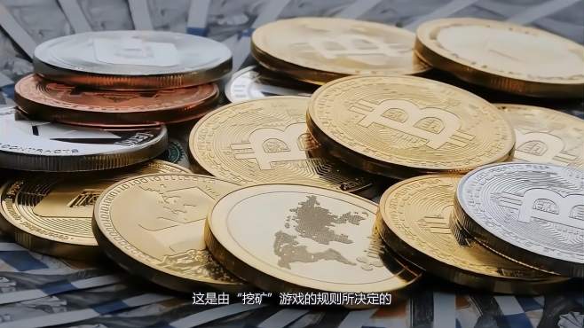 比特币生活视频(比特币生活视频在线观看)