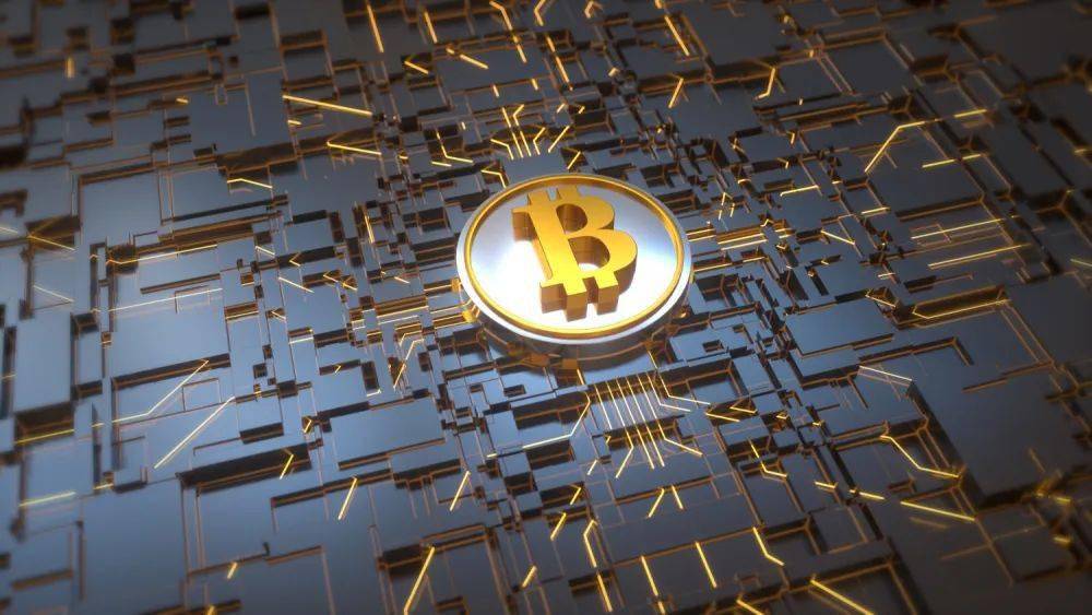 比特币荷兰行家(比特币荷兰行家是谁)