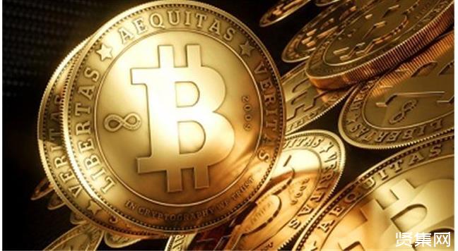 比特币荷兰行家(比特币荷兰行家是谁)